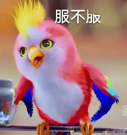 4只小喜鹊大战毒蛇最后结局...完整视频
