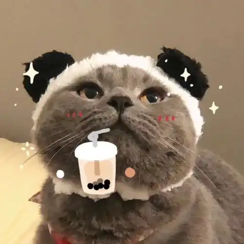 小动物情侣头像超可爱呀
