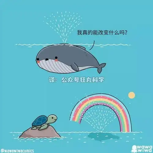 小鲨鱼和朋友们的温馨日常,海洋主题治愈漫画集
