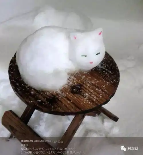 一场大雪后,日本满大街都是艺术家
