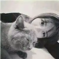 女友走后,只剩一只猫
