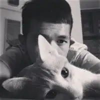 抱着猫咪的情侣头像
