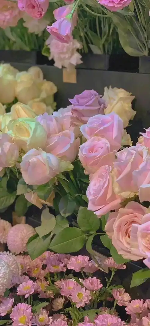 清新鲜花壁纸
