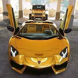 沙特皇室一行黄金战车,行驶在沙漠里真正的沙漠霸主
