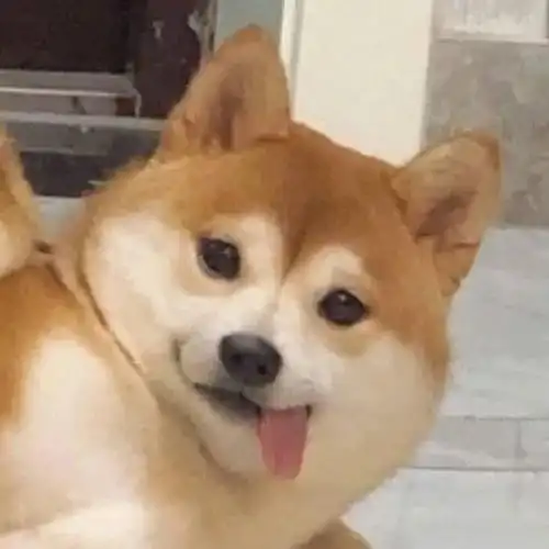 你的头像该换了,换个心情
