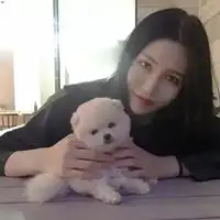 小女孩和狗狗的头像一个小女孩和狗狗萌照头像

