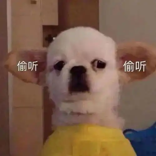 小布说天气丨这一次,降个48那是起步价
