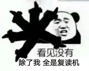 杜嘉班纳推出中国春节产品,庆祝即将到来的猪年
