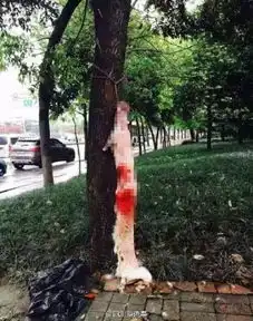 爱狗走失仅2小时,再相见竟已被活剥皮

