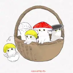 可爱的猫咪插画丨
