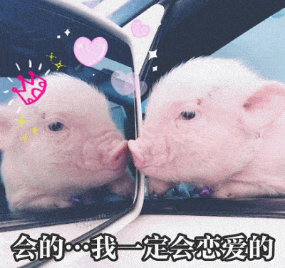 情侣小猪猪表情包我这么可爱,别人捡到是不会还给你的
