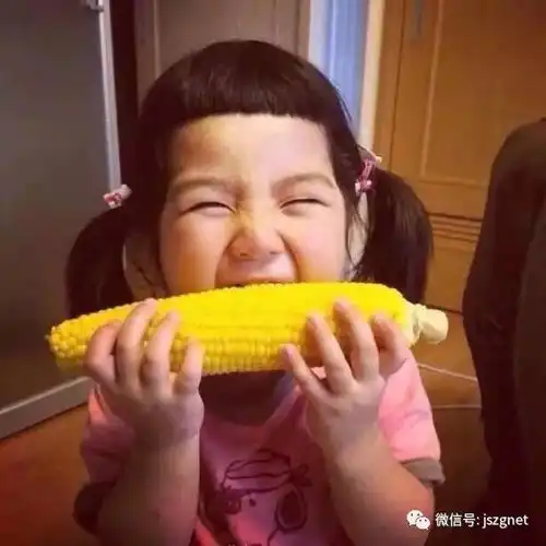 健身十大优质主食,别说你不清楚
