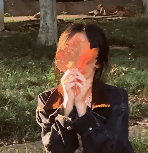 每日头像
