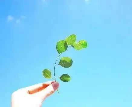 励志向上的小短句,句句阳光,鼓舞人心
