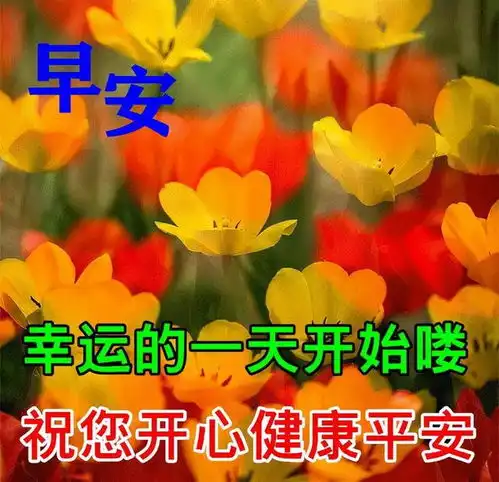 最新周日早安问候语表情包,早上好,天冷了,出去游玩记得保暖
