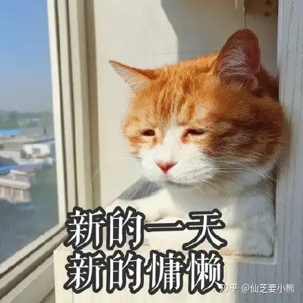 七夕情人节送男友的礼物都有哪些啊
