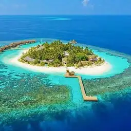 海岛风情清凉图片
