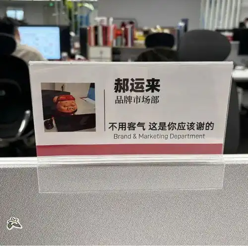 00后的工牌有种淡淡的疯感网友在公司耍大牌了,耍的工牌

