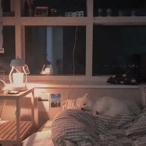 换一个背景,换一个心情
