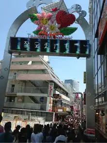 脑残粉两日游东京
