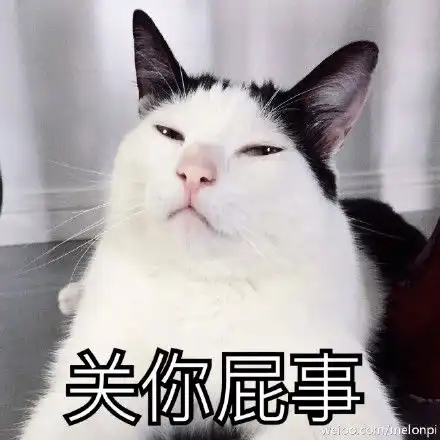 看什么看找打丨第217期喵表情
