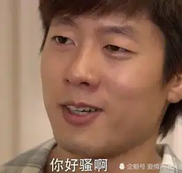 b站最火的4大鬼畜明星,洪世贤上榜,王境泽遇到他也只能认输
