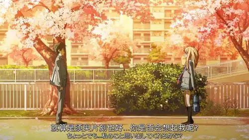 你有什么想对四月说的话
