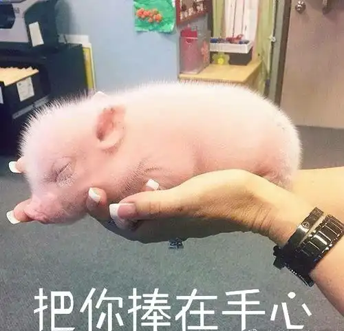 广州人挺住史上最难熬的一个月来临,千万要做好准备
