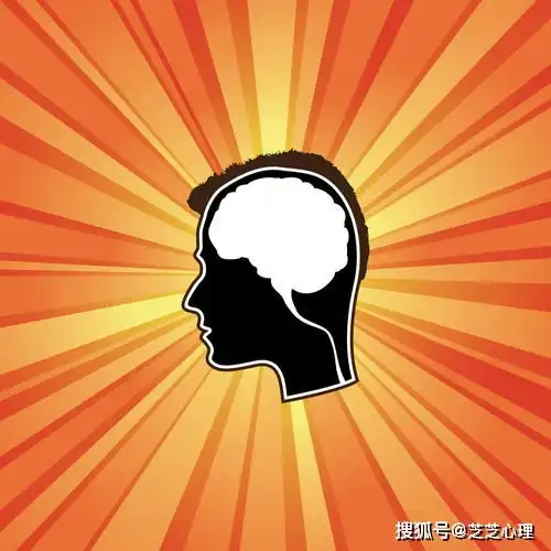 心理学如何使用大脑结构,合理消除没有自信的方法
