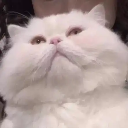 情头我每天都在笑,你说我快不快乐
