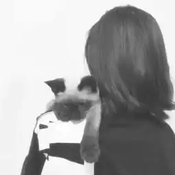 总有人宠你
