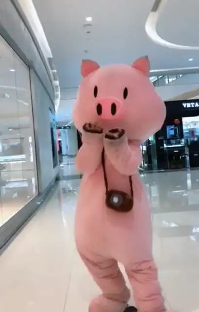 妹子套上小猪玩偶服,感觉智商也变的和猪一样了
