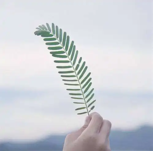 中国人民大学民商法学考研经验人大法学院考研真题参考书

