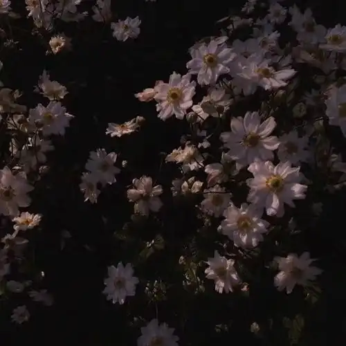 捧花唯美治愈系背景图
