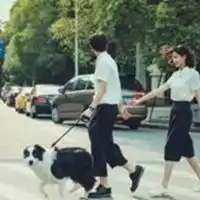 抖音遛狗图片情侣头像微信头像图片大全
