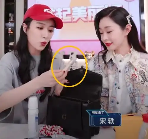 宋轶防晒狂魔称号不白叫同框薇娅直播,肤色差距一眼即知
