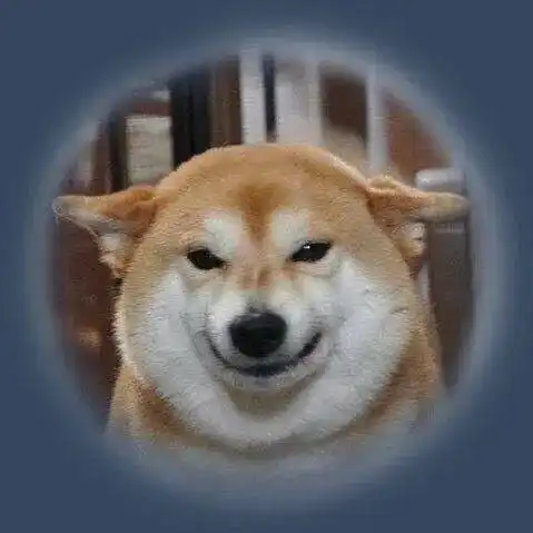 千万别送二哈去狗咖打工啊
