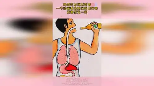 喝酒对身体的危害,一个动画看完瞬间明白危害,百害而无一利
