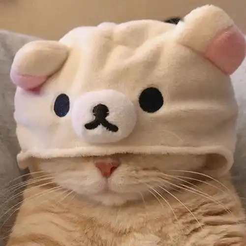 分享一组可爱橘猫的头像
