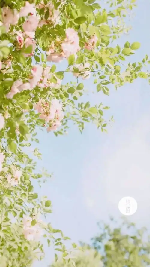 ins风清新壁纸山河远阔人间烟火
