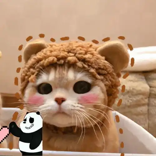 个性微信头像

