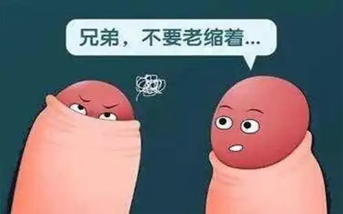 男孩包皮过长手术真实图片
