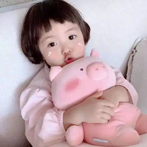 头像不要同情我我不孤独只是单身
