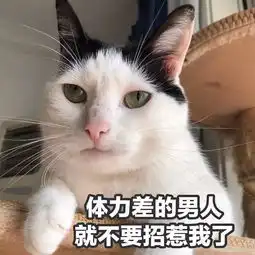 情侣专用表情包

