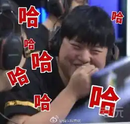 囧图系列看季后赛为夺冠军争得四脸doinb
