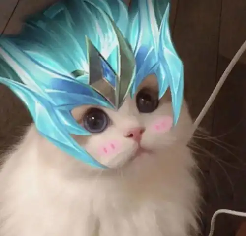 王者荣耀猫猫换头图五岳五神兽专辑
