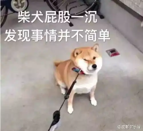 冤不冤我让女性朋友坐副驾驶,女朋友居然要和我分手...
