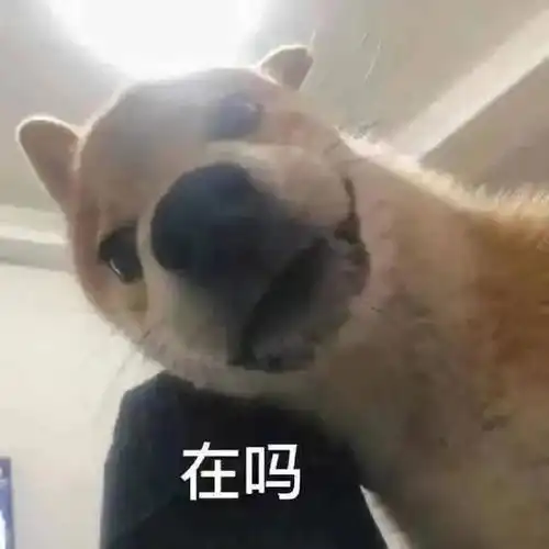表情包嘘,别说,我懂
