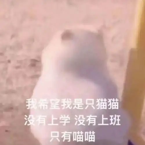 干不下去又嫁不了人的投行女们转行出路
