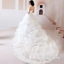 十二星座mm如何挑选婚纱
